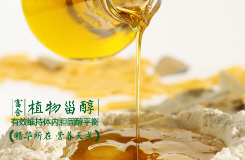 100%非转基因玉米胚芽油富含植物甾醇  有效平衡体内胆固醇